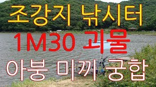 [아붕조구 전국투어 ]조강지 괴물1M30도전/어자원/풍부/캠핑낚시/대물낚시/우동빨판/ 빨판떡