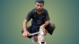 5kg Live Fish Cutting in Bhimavaram