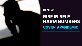 Rise of self-harm and use of mental health services since COVID-19 pandemic began | ABC News
