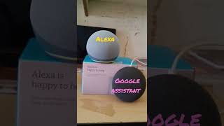 asking who's your father || alexa vs Google assistant