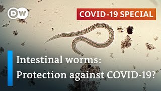 Coronavirus: Are parasitic worms responsible for low fatality rates in Africa? | COVID-19 Special