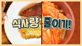 식사량 줄이는법 (위 줄이기, 다이어트 식단 양조절하기)