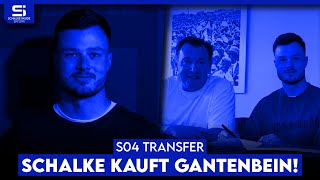 OFFIZIELL: Schalke holt Adrian Gantenbein! Endlich ein guter Rechtsverteidiger?