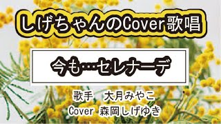 「今も…セレナーデ」しげちゃんのCover歌唱 / 大月みやこ・Cover 森岡しげゆき