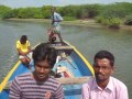 muthupet lagoon mangrove forest in muruganatham with my friends