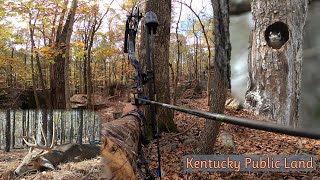 Nice Mid November Archery Buck on the Ground, Kentucky Public Land.