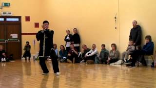 Master Wang Hai Jun 2012 cannon fist and lao jia yi lu mix