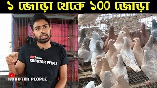 ১ জোড়া থেকে ১০০ জোড়া কবুতর এর মালিক ? | Kobutor Palon Bangladesh | Pigeon Bird | Latest Pigeon Video