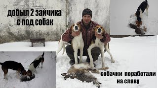 Одна Из Лучших Охот В Этом Сезоне!!!