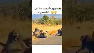 അതാണ് ചങ്കൂറ്റം  ##shortvideo #short #shorts