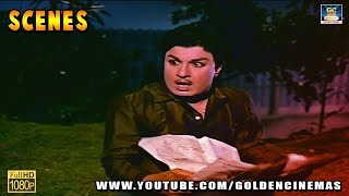 எம்.ஜி.ஆர் யின் மாஸ் சினிமா காட்சிகள் | MGR Movie Scene | HD