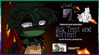 #aşk []_Ask TMNT And ROTTMNT_[]_ Gacha_[]#rottmnt #tmnt #recommended #gachaclub #777 #lmao 1/3 party