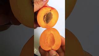 Amazing Apricots Fruit Skills Cutting || Fruits #abubakarsiddiqsiddika #shorts #apricots #viral