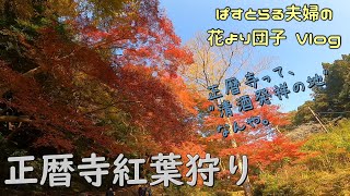 奈良 正暦寺紅葉狩り【ぱすとらる夫婦の 花より団子 Vlog 2021.11.20】正暦寺って、清酒発祥の地って知ってた？