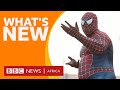 Meet Nigeria's Spiderman and other stories - BBC What's New