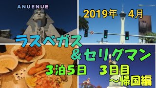 2019年4月　ラスベガス旅行＆セリグマン　3泊5日　３日目～帰国編