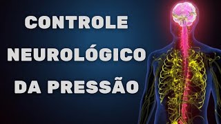 Controle neurológico da pressão - barorreceptores e quimiorreceptores