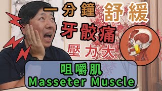 牙骹痛？壓力大?｜咀嚼肌 (Masseter Muscle )｜ 一分鐘放鬆系列 【痛症教室】