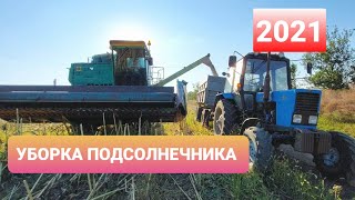 Уборка подсолнечника 2021 . 11.08 2021