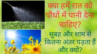 क्या रात को पेड़ मे पानी देना चाहिए?Should we water plants at night?Best time to give water in Hindi.