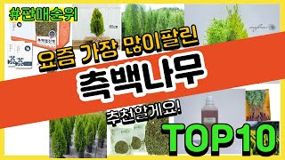 측백나무 추천 판매순위 Top10 || 가격 평점 후기 비교