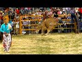 ¡¡TORNEO NACIONAL DE TOROS DE REPARO!! JARIPEO EN IHUATZIO MICHOACAN ABRIL 2015 ANDALIEGO Y CHEROKEE