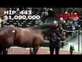 Keeneland September Sale 2015: Session 2