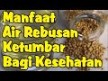 Manfaat Air Rebusan Ketumbar untuk Kesehatan