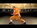 Shifu Yan Lei Qi Gong for Lower Body Trailer