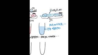 Part 2 15장 89번 무세포단백질번역