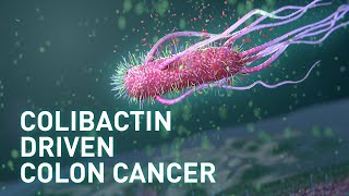 How E. coli Bacteria Contribute to Colon Cancer | Science Animation