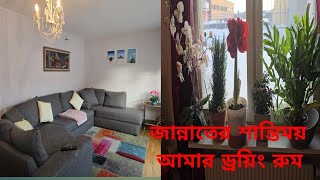 আমার  ড্রইং রুমটাকে ১২০০ টাকা খরচ করে দুনিয়ার বুকে এক টুকরো জান্নাতের শান্তিময় স্থান  করে তুলেছি।