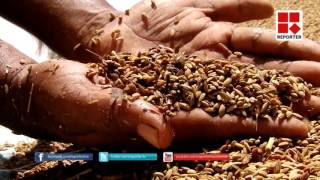 Farming in Alappuzha