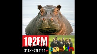 היפופוטם: שישים שניות - אליהו הנביא