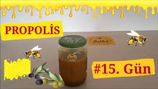 Evde Zeytinyağı ile Propolis Hazırlama #15. Gün (Çözülme Durumu ve Kontrol)