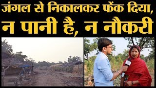 Satpura Tiger Reserve से डेढ़ साल पहले निकाले गए, न ज़मीन मिली न Job card | Hoshangabad MP Lallantop