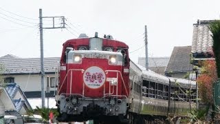 わたらせ渓谷鐵道 トロッコ「花桃号」９７１７列車 運動公園-大間々2013年4月14日