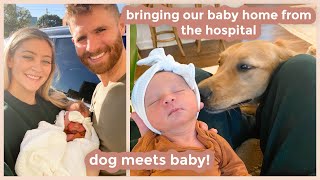 BRINGING OUR BABY HOME FROM THE HOSPITAL | dog and baby meet!!! first moments at