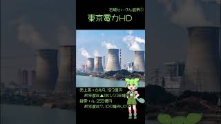 石破政権おすすめ銘柄 - 東京電力HD【ずんだもんに学ぶ株式投資】 #shorts