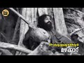 Pralayapayodhiyil - Mazhakkaaru 1973 | KJ Yesudas | Vayalar |G Devarajan | Film Song|Central Talkies
