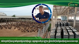 កសិករចិញ្ចឹមទាខ្នាតពាណិជ្ជកម្មធំមួយកន្លែងនៅឃុំសន្លុងខេត្តកណ្តាលត្រៀមពង្រីកការចិញ្ចឹមបន្ថែម១ម៉ឺនក្បាល