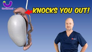Pain In The Testicles Could Be EPIDIDYMITIS | UroChannel