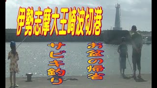 伊勢志摩大王崎波切港のサビキ釣り