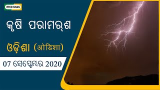 କୃଷି ପରାମର୍ଶ | ଓଡ଼ିଶା | 07 ସେପ୍ଟେମ୍ବର 2020 | IFFCO କିସାନ୍