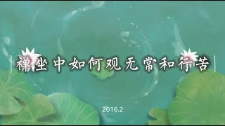 禅坐中如何观无常和行苦 20200717（苦谛）（细无常）（人无我）（窍诀方法）