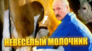 Фурор лукашенко: кислая прибыль беларуской молочки / Кочанова и ее спасательная команда пенсионеров