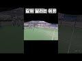 여자풋살매치⚽️ 같이 달리는 이유