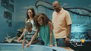 Daytona Beach will beckon tourists with 'Wide. Open. Fun.'