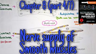 Nerve supply of smooth muscles - chapter 8 (part 4/7)- Guyton and hall text book of physiology.