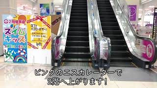 リビングカルチャーセンターはません校までの順路紹介